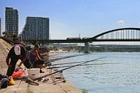 Pêcheurs sur la Sava
