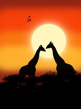 Girafes au coucher du soleil sur Lida Bruinen