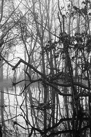 spooky by Jan Peter Nagel