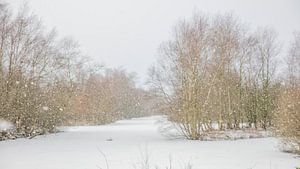 winter in de Deelen 6 van anne droogsma