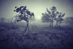 Dünenlandschaft im Nebel von Karel Ham