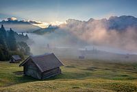 Matin d'automne