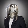 Dog in tailor-made suit by Sarah Richter