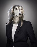 Hund im Maßanzug