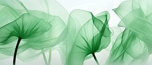 Danse des fleurs