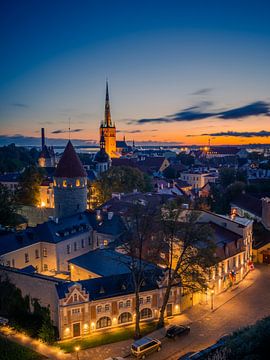 Overzicht van Tallinn met de Olaikerk en de Baltische Zee van Robert Ruidl