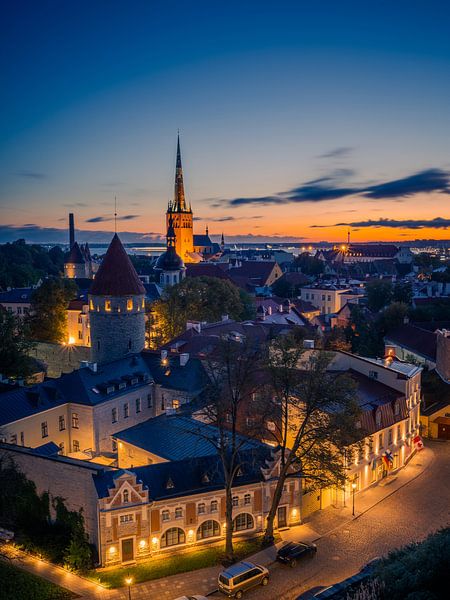Overview of Tallinn with Olai Church and the Baltic Sea by Robert Ruidl
