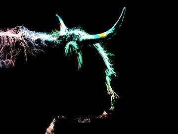 Schotse hooglander outline kleur - creatief beeld van dit populaire dier van Qeimoy