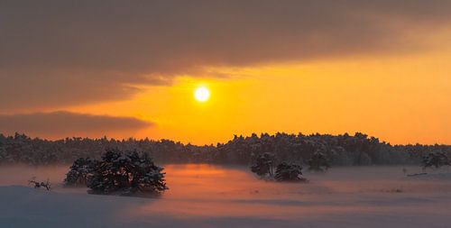 Kleurrijke winter zonsondergang over de sneeuw bedekt vlaktes op de Veluwe