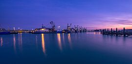 Dutch Glory by Ronnie Westfoto