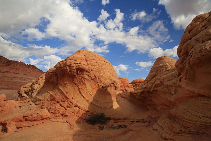 Rotsformaties in de North Coyote Buttes, deel van het Vermilion Cliffs National Monument. Dit gebied van Frank Fichtmüller