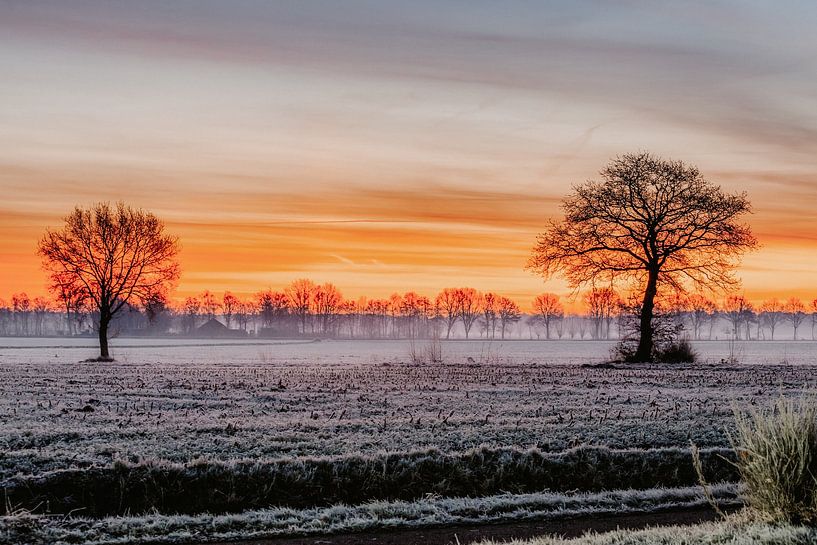 Sunrise in the polder by Marloes Mol
