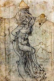 Leonardo da Vinci Rare  van Truckpowerr