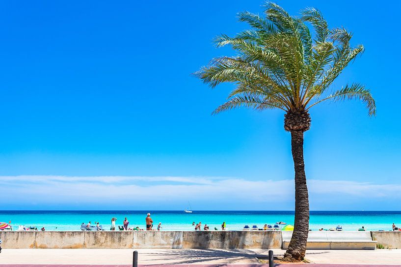 Schönes Sandstrand-Panorama an der Küste von Cala Millor von Alex Winter
