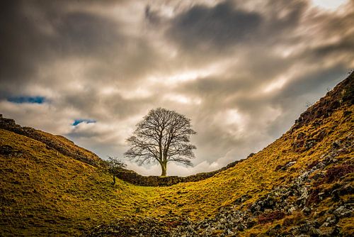 De wachter in stilte van Guy Lambrechts
