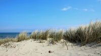 Dune panorama by Ostsee Bilder thumbnail