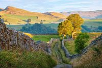 A stroll through the Dales