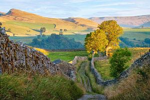 A stroll through the Dales