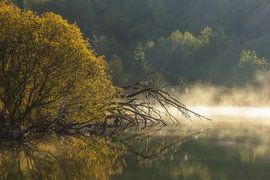 Le soleil rencontre le brouillard près des lacs de Schwackenreut - Mühlingen sur BlattArt - Christine Horn