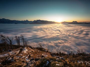 Salzburg unter einer Nebeldecke von Thomas Weber