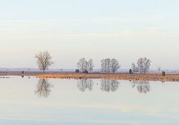 Dwingelderveld (Niederlande) von Marcel Kerdijk