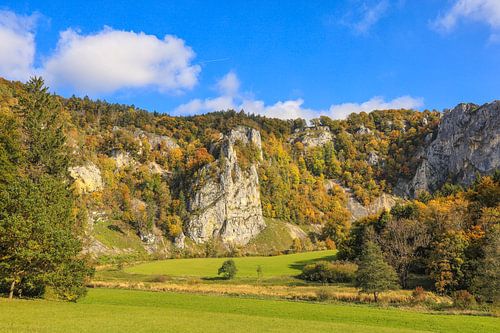 Jura kalksteenrotsen met uitkijkpunt "Burgstall" bij Fridingen - Boven-Donau Natuurpark