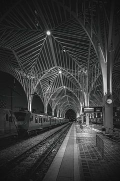 Last train by Frans Nijland