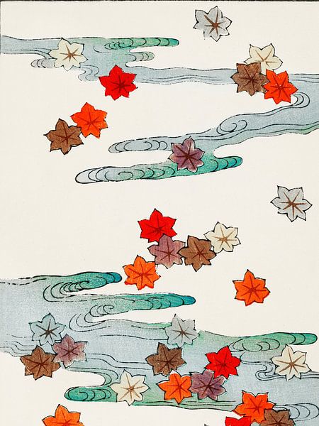 Colorful Leaves by David Potter