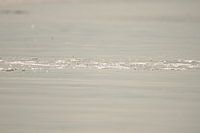 Planschen im Wasser