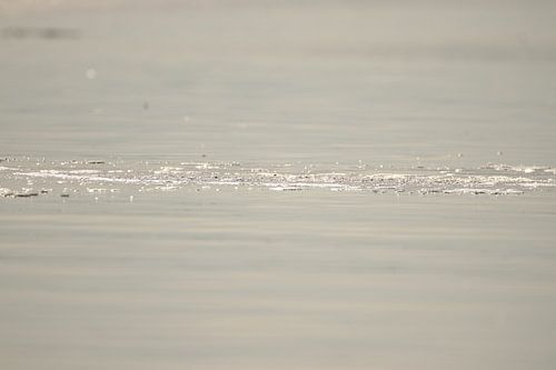 Spraying in the water