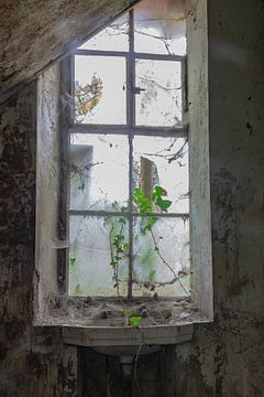 Urbex, abandoned building by Natalie Boevé