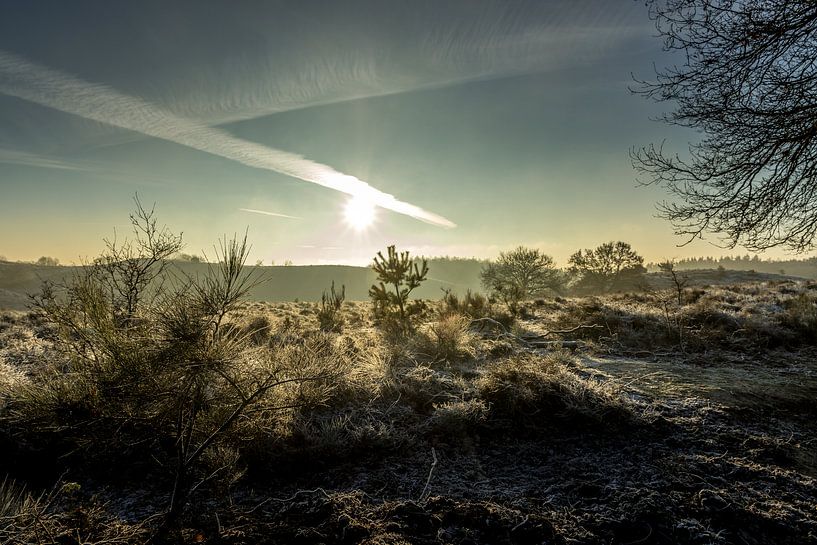 Lever du soleil par Koos de Vries