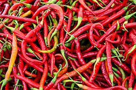 Piments rouges