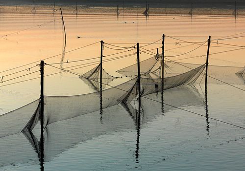 Paysage côtier avec filets de pêche