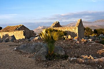 Georiënteerd natuurgebied Monte Cofano in Custonaci van Silva Wischeropp