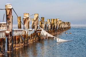 Buhne an der Ostseeküste bei Zingst auf dem Fischland-Darß im Winter