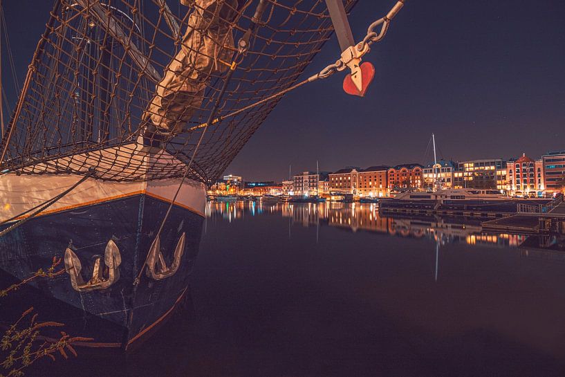 Aangemeerd schip in de jachthaven aan het Willemdok in Antwerpen van Daan Duvillier | Regio in de Kijker