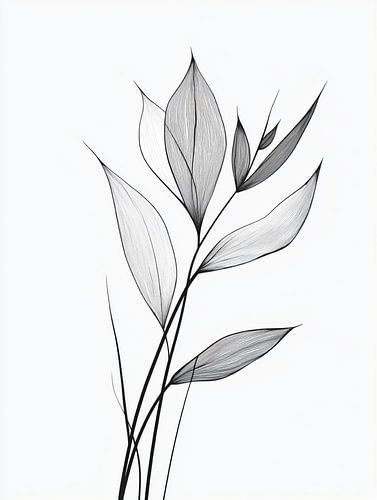 Illustratie van delicate bladeren in lijntekening