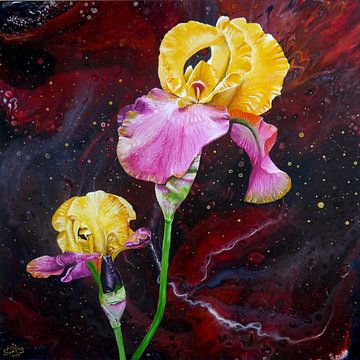 Zonsondergang - Iris - Iris van Anja Semling