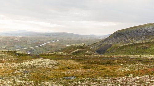 Riksvei 7 Hardangervidda
