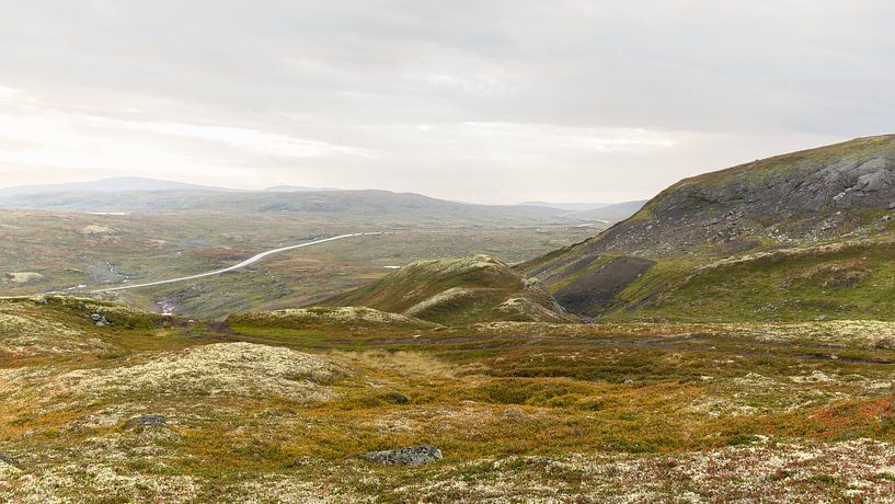 Riksvei 7 Hardangervidda by Rob Liefveld