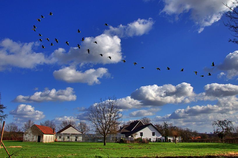 Retour par Edgar Schermaul