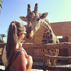 Lynn Van Ballaer Profile picture