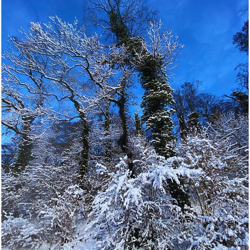 Série « Nature » à Baden-Achim (Verden)