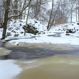ruisseau gelé sur Alex Roetemeijer