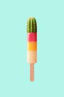 Cactus Popsicle