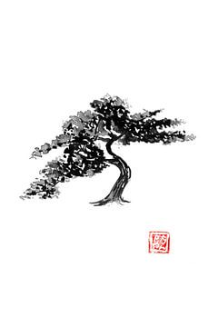 bonsai sur Péchane Sumie