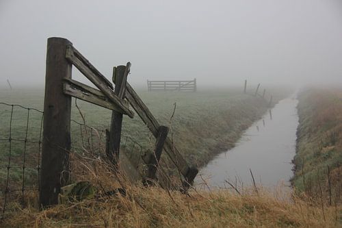 Texel Landschap 047