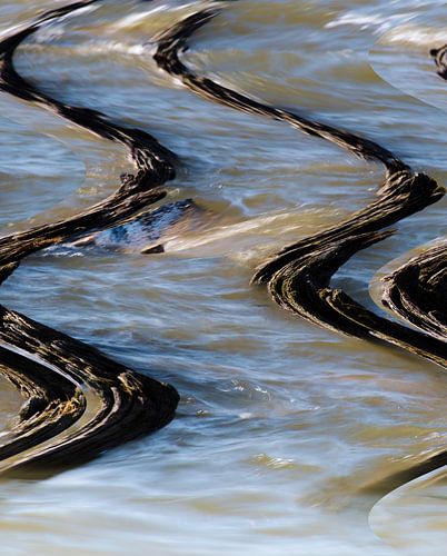 postes dans le mouvement des vagues sur George van der Vliet