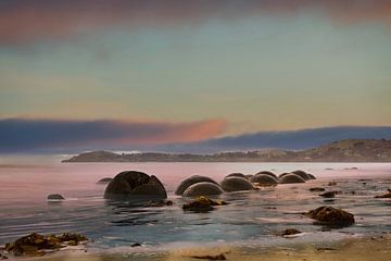 Guardians of the Coast by Laura Krol